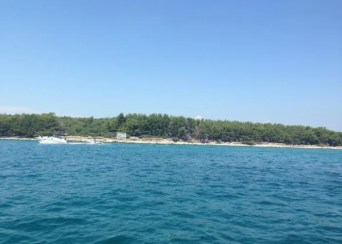 Ten-punat * Punat